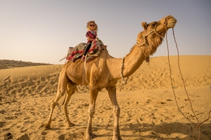 Desert Safari Dubai Camel Ride